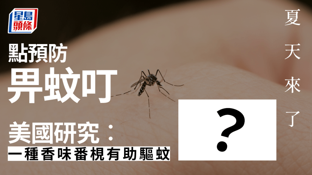 美國研究指,有一種香味番梘有助驅蚊。