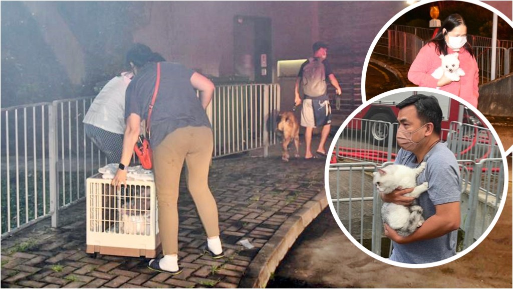 傭人帶同寵物犬和貓逃生 。
