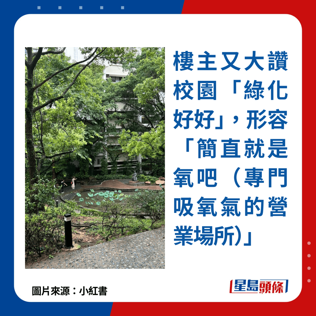 樓主又大讚校園「綠化好好」，形容「簡直就是氧吧（專門吸氧氣的營業場所）」