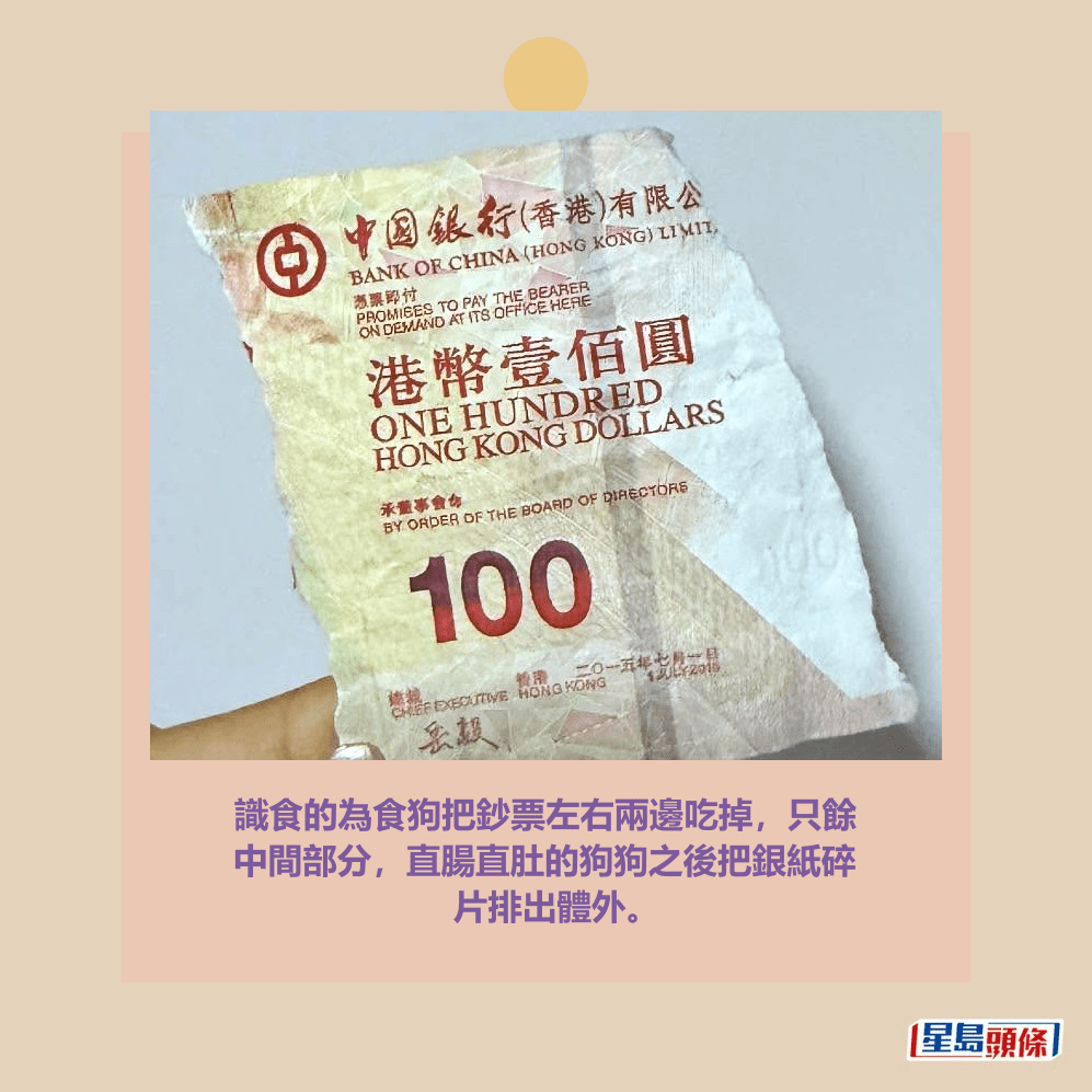 識食的為食狗把鈔票左右兩邊吃掉，只餘 中間部分，直腸直肚的狗狗之後把銀紙碎 片排出體外。Threads截圖