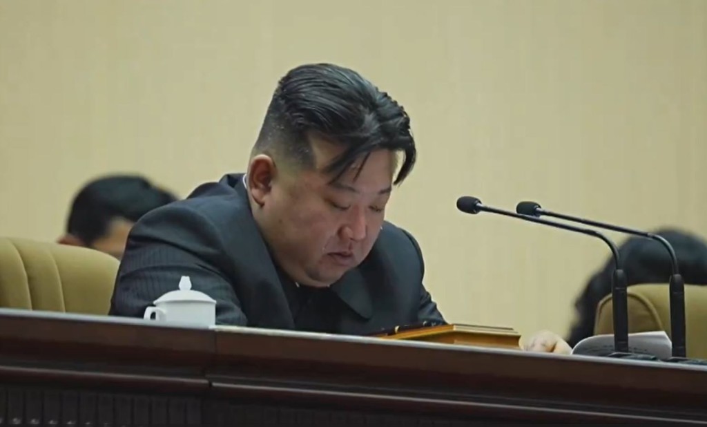 金正恩在提到北韓生育率下跌，呼籲婦女多生育時痛哭流淚。影片截圖