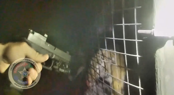 佛羅里達州警員為救擅闖禁區的清潔工,開槍射殺瀕危的馬來亞虎。網上圖片