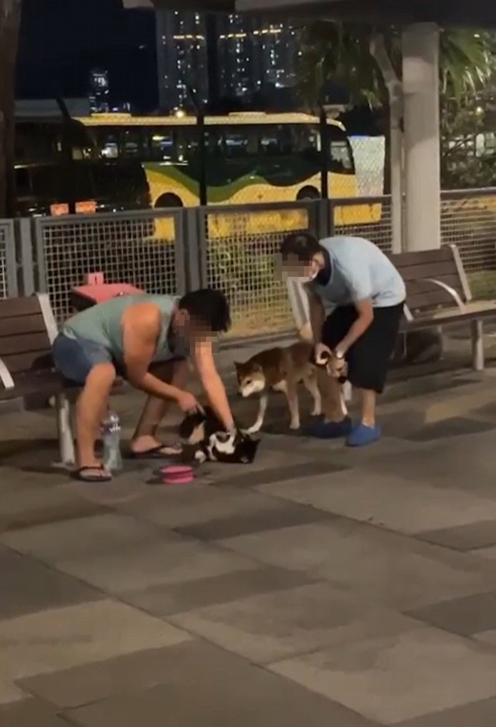 一名背心男子日前在宋王台游乐场的宠物公园粗暴「管教」柴犬。网上片段截图