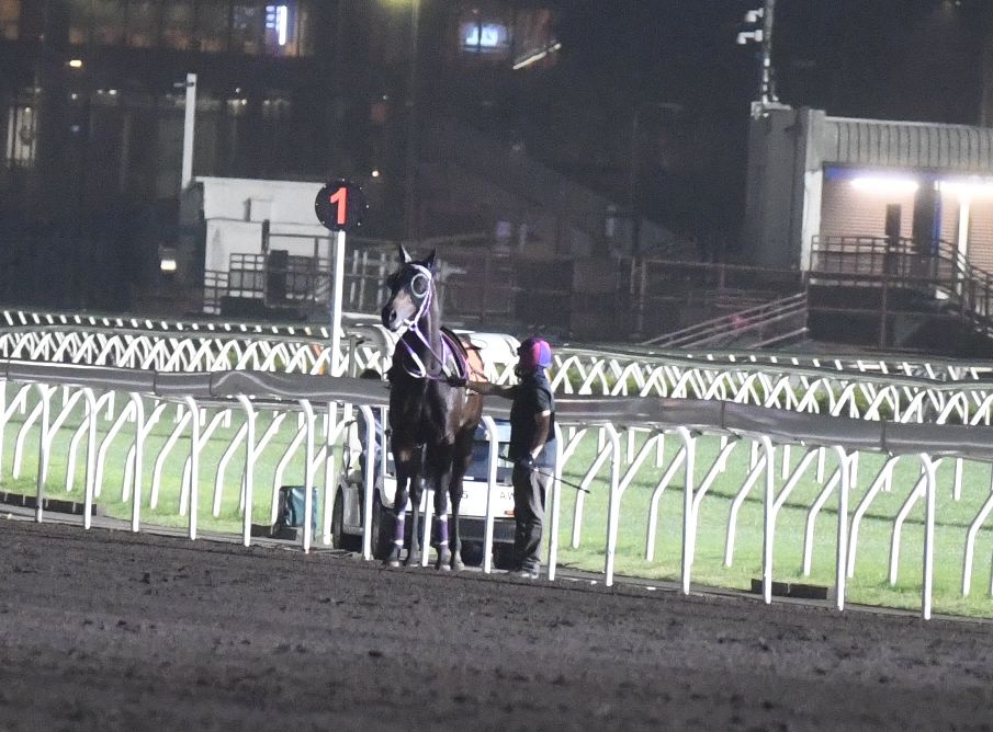 今早巫显东为「鹦威威鹉」在大圈快跳，人马突然在马会大萤幕对开一带停下。