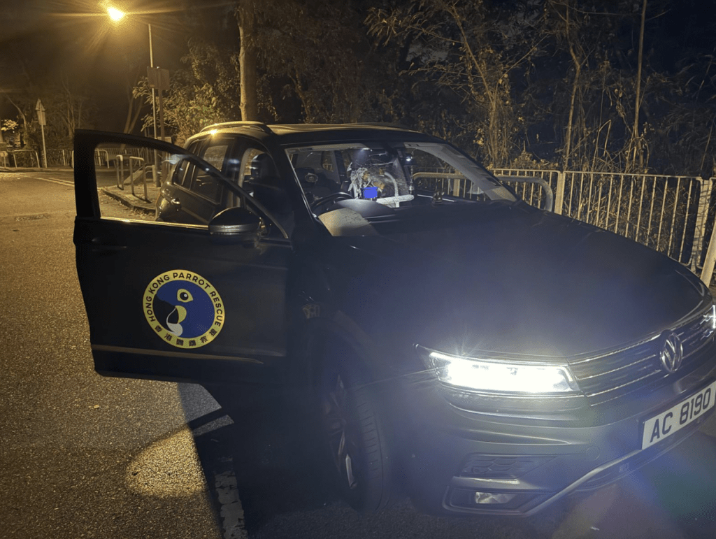 郭秀雲在元朗協助友人尋找遺失鸚鵡期間，停泊在路邊的座駕慘遭毒手，擋風玻璃被擊至碎裂。郭秀雲提供