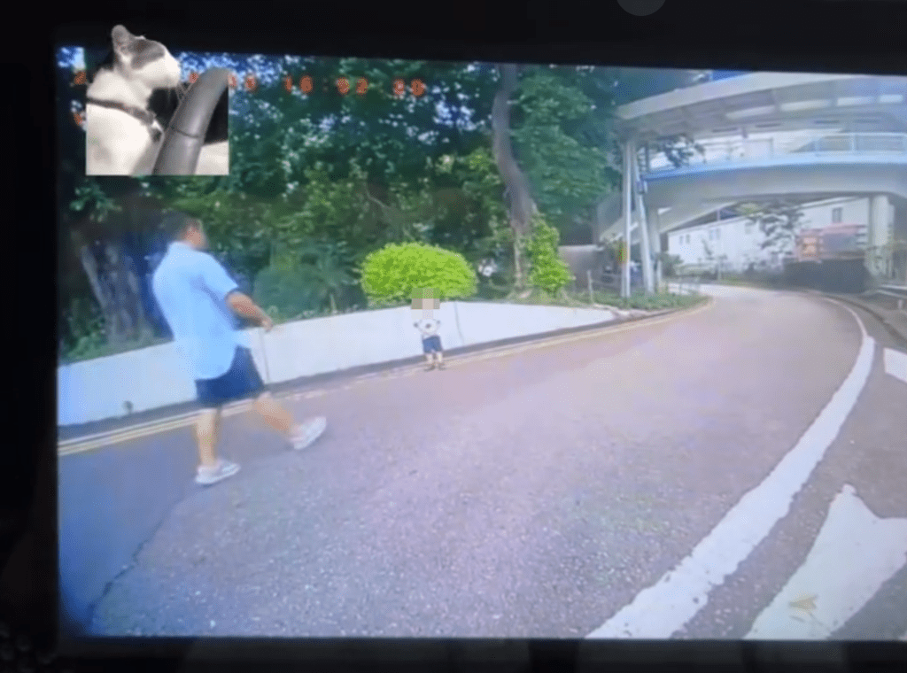 熱心司機隨即停車上前查看。