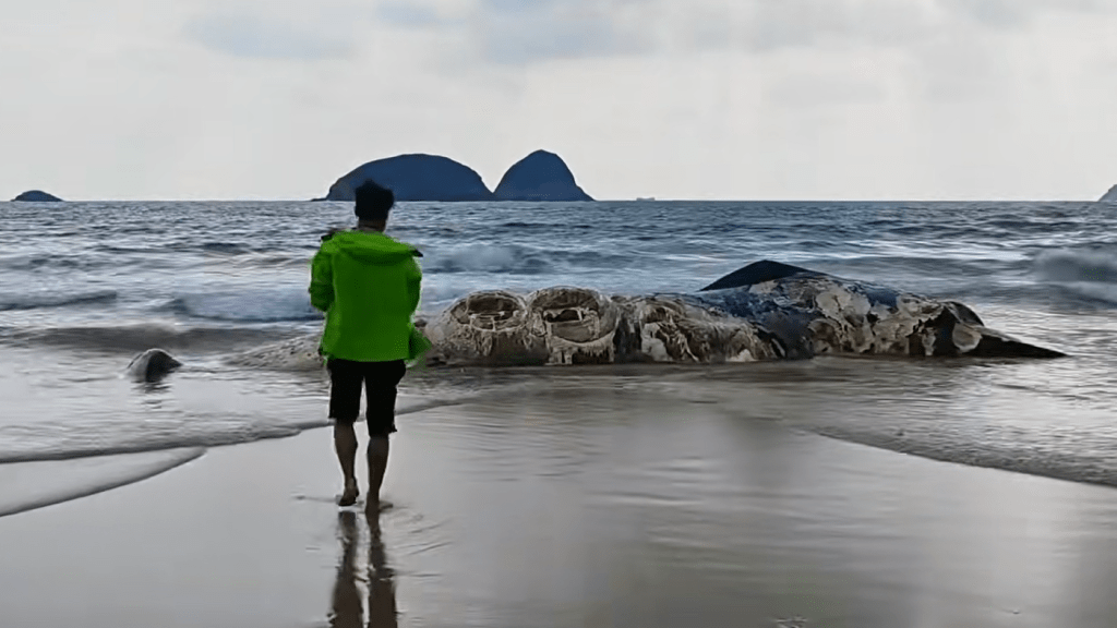 大批行山客靠近拍攝紀錄。小紅書圖片：LY恒的旅行日常