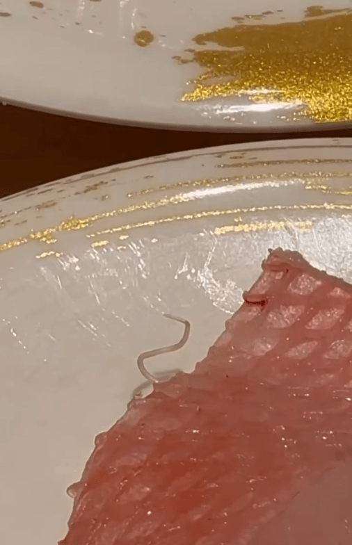 有網民在連鎖壽司店「合點壽司」銅鑼灣分店,發現金目鯛壽司上有仍在蠕動的寄生蟲。Threads圖片 有網民在連鎖壽司店「合點壽司」銅鑼灣分店,發現金目鯛壽司上有仍在蠕動的寄生蟲。Threads圖片
