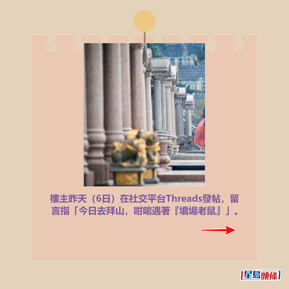 。資料圖片 。資料圖片