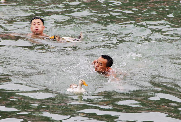 网上图片