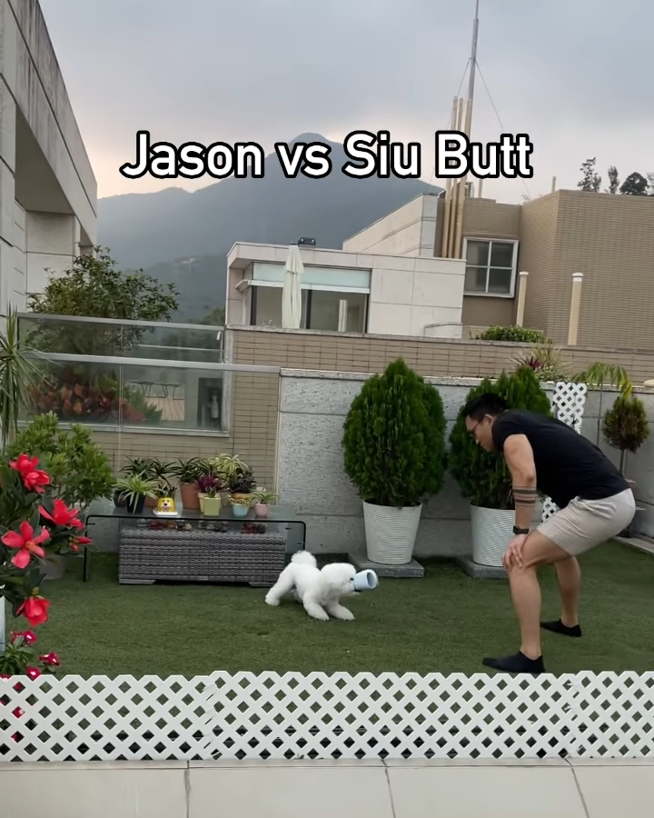 朱嘉望最新分享的兩段影片其中一段是男友跟愛狗在天台玩。