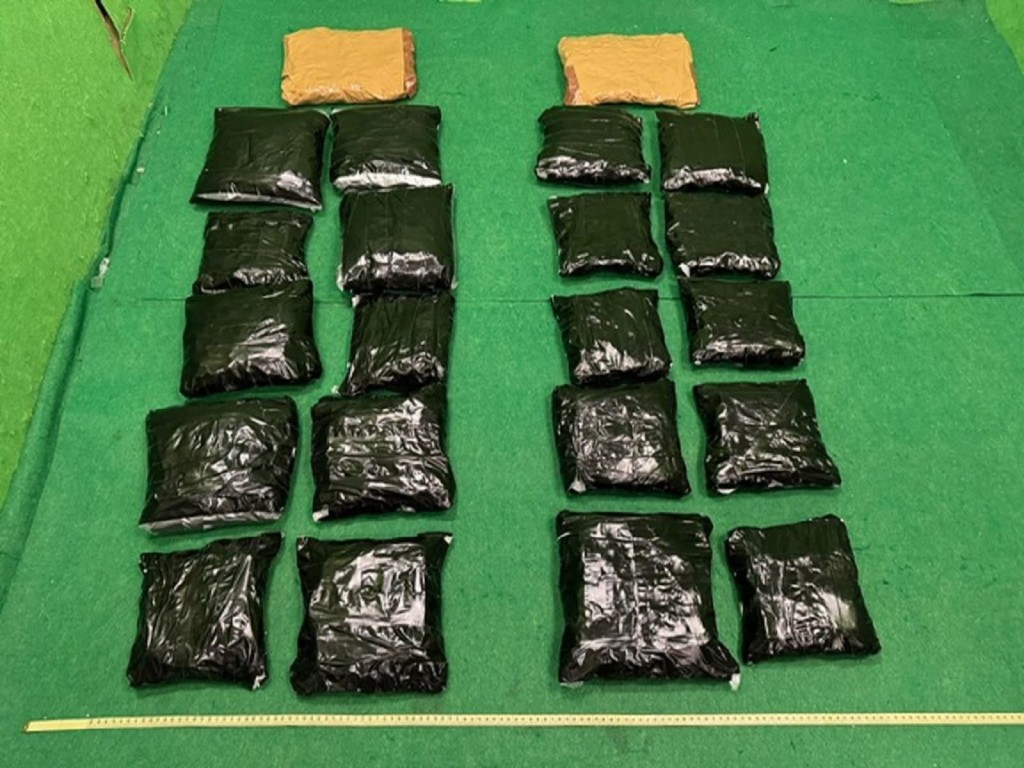首宗案件中檢獲的部分懷疑大麻花。 首宗案件中檢獲的部分懷疑大麻花。