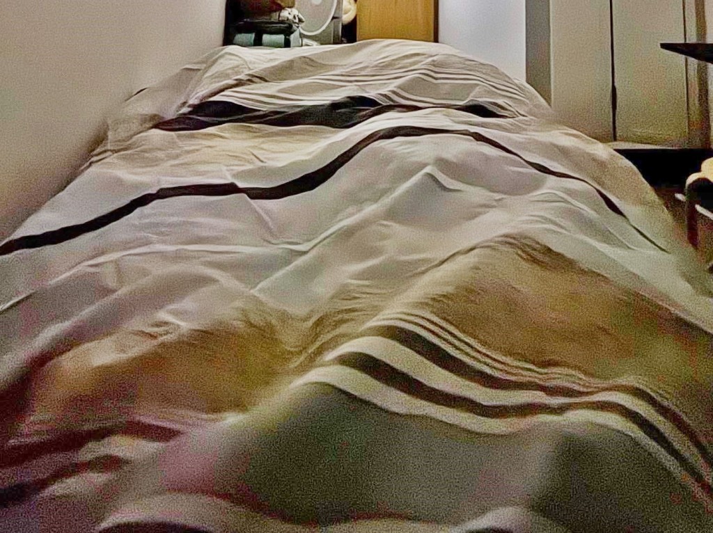 Threads截圖(資料來源:mylittle_something@Threads) Threads截圖(資料來源:mylittle_something@Threads)