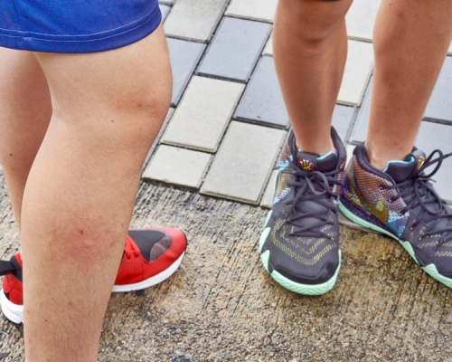 消委会提醒消费者要留意驱蚊产品的成分浓度及致敏原。资料图片