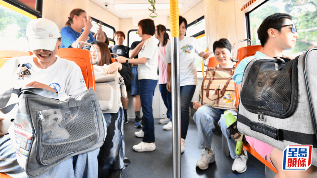 輕鐵「貓狗同行」試行計劃延至8月底 港鐵:市民反應正面 寵物主人守規
