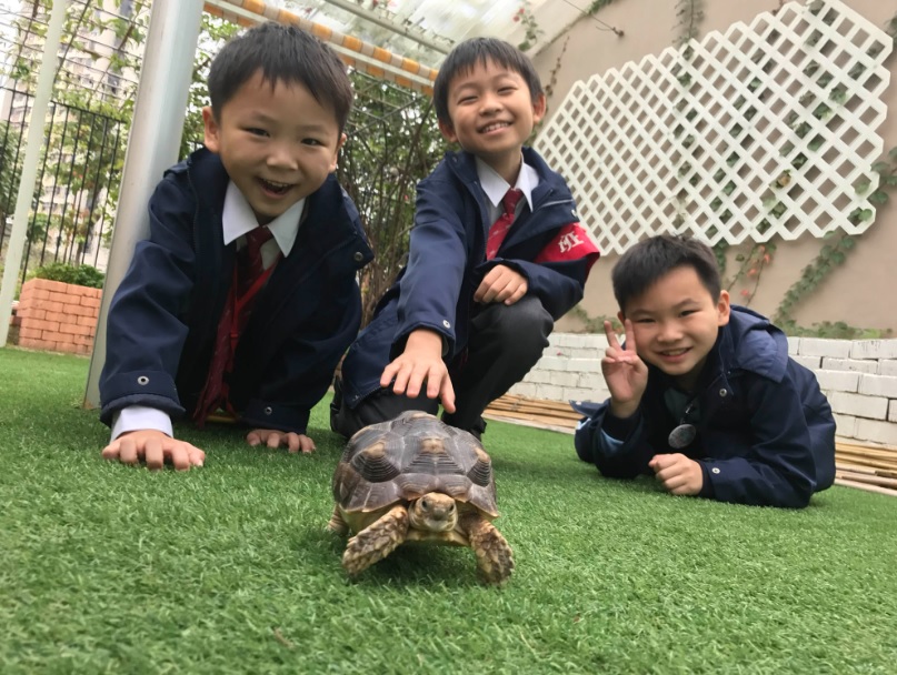 （圖片來源：受訪學校提供）