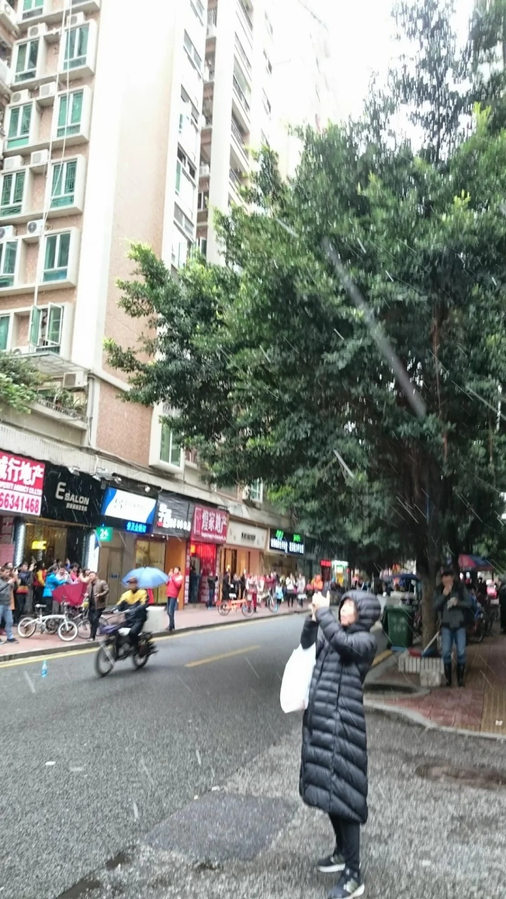今年不排除重现2016年下霰的情况。小红书