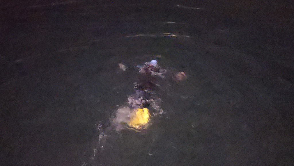 對於氣溫破紀錄，林先生顯得毫不在意。黎志偉攝