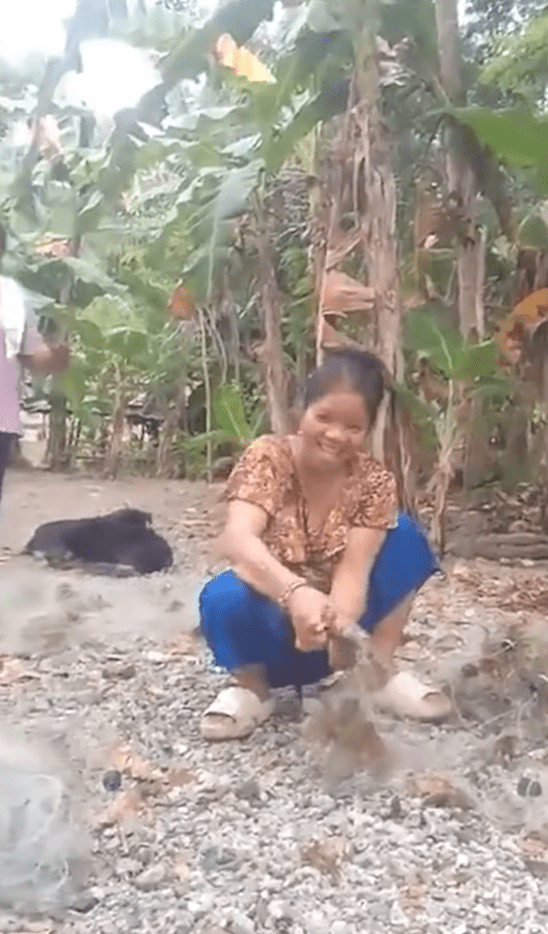 阿米特興奮地拍片，向粉絲展示在紅樹林捕獲的貝類及螃蟹。