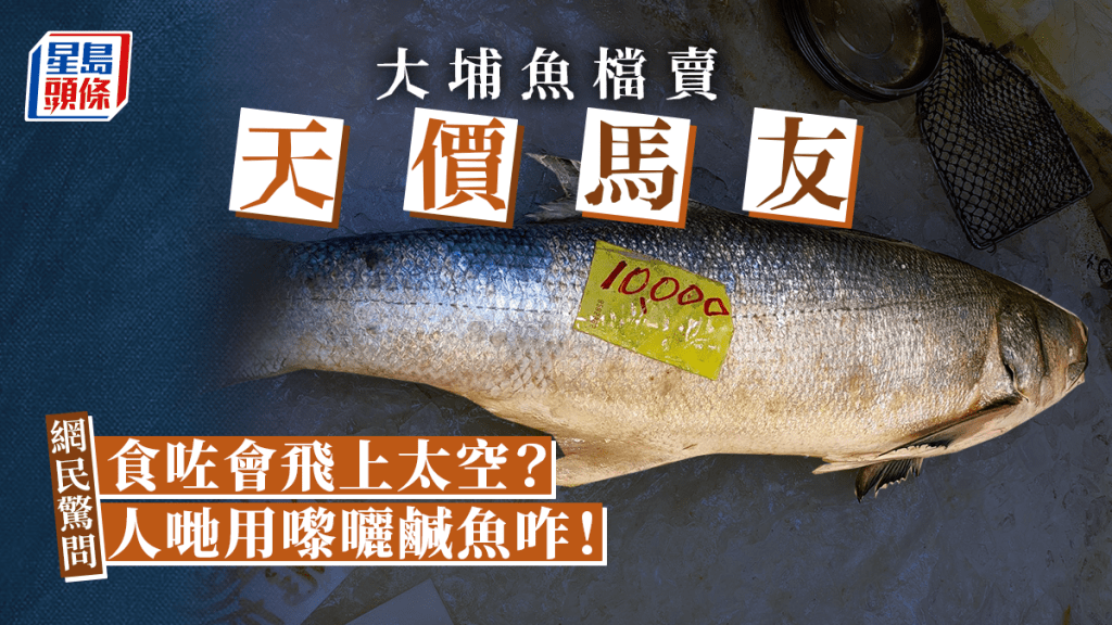 大埔鱼档卖1万元一条「海马友」。网图