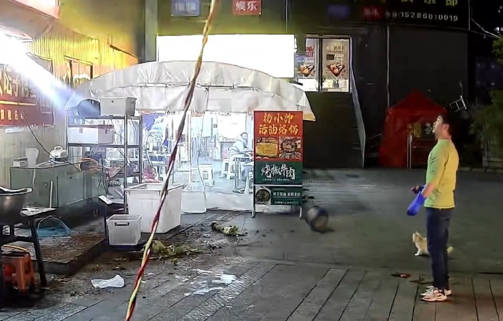 烤魚店老闆餵流浪貓期間，一個花盆突從天而降險。極目新聞