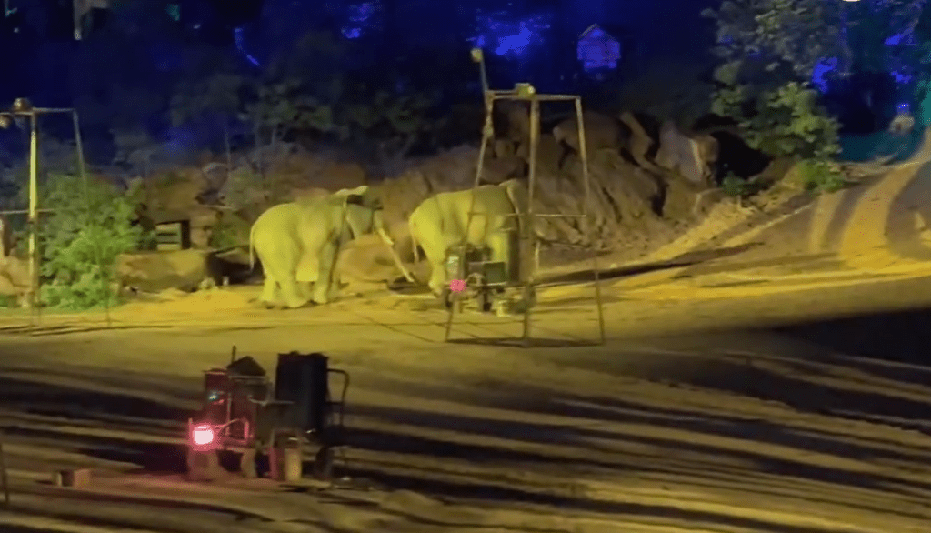 南萬歲山武俠城「打鐵花」表演中，兩隻登場的「大象」穿崩露人腳。 微博