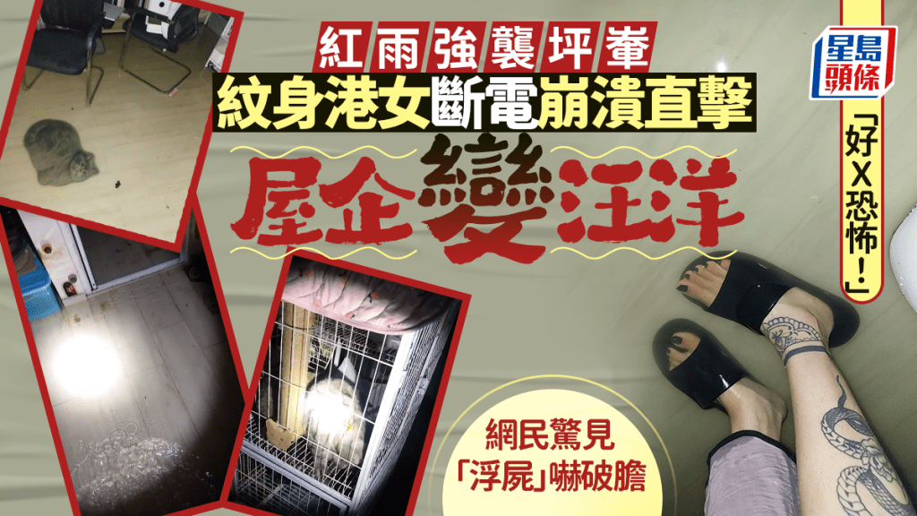 「好Ｘ恐怖！」紅雨強襲坪輋 紋身港女斷電崩潰直擊屋企變汪洋 網民驚見「浮屍」嚇破膽｜Juicy叮
