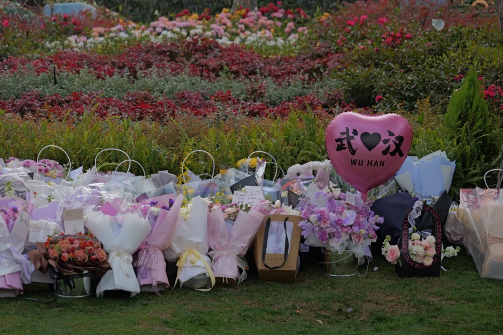 來自全國各地的歌迷齊聚武漢。