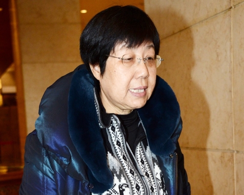 蔡素玉提醒港人要認清機遇,盡快走上大灣區的路上。