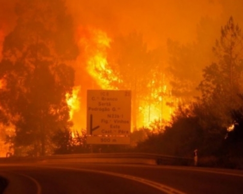 大火蔓延至公路。網圖