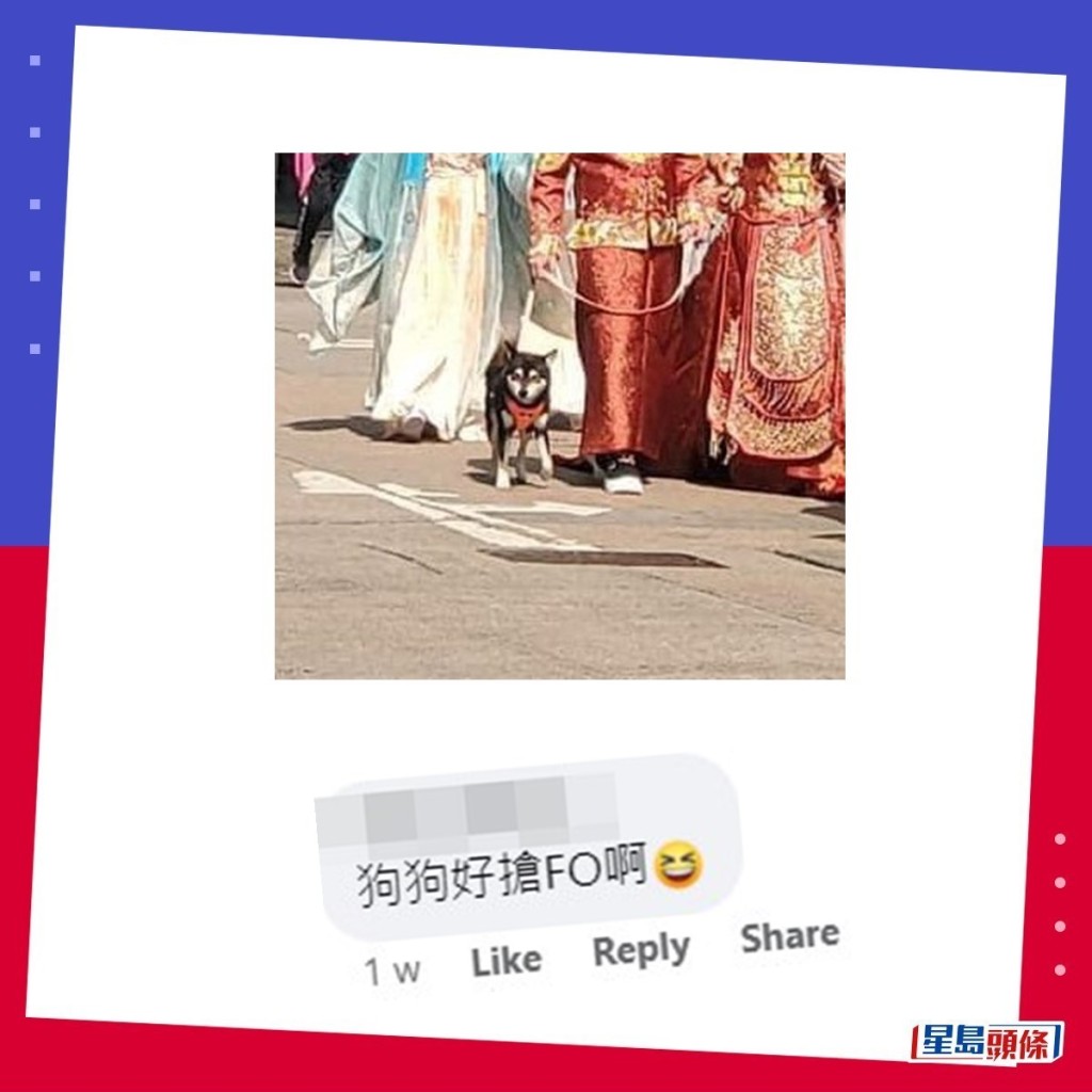 网民：狗狗好抢FO（focus，焦点）啊。fb「香港突发事故报料区」截图
