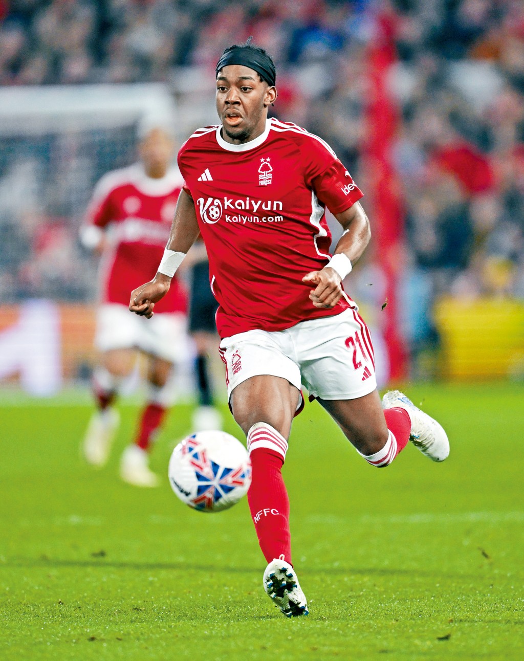 森林翼鋒艾蘭加