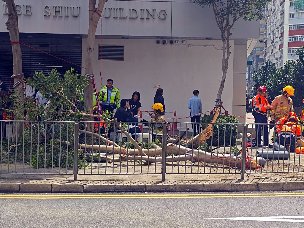 大批傷者待救。網圖 大批傷者待救。網圖