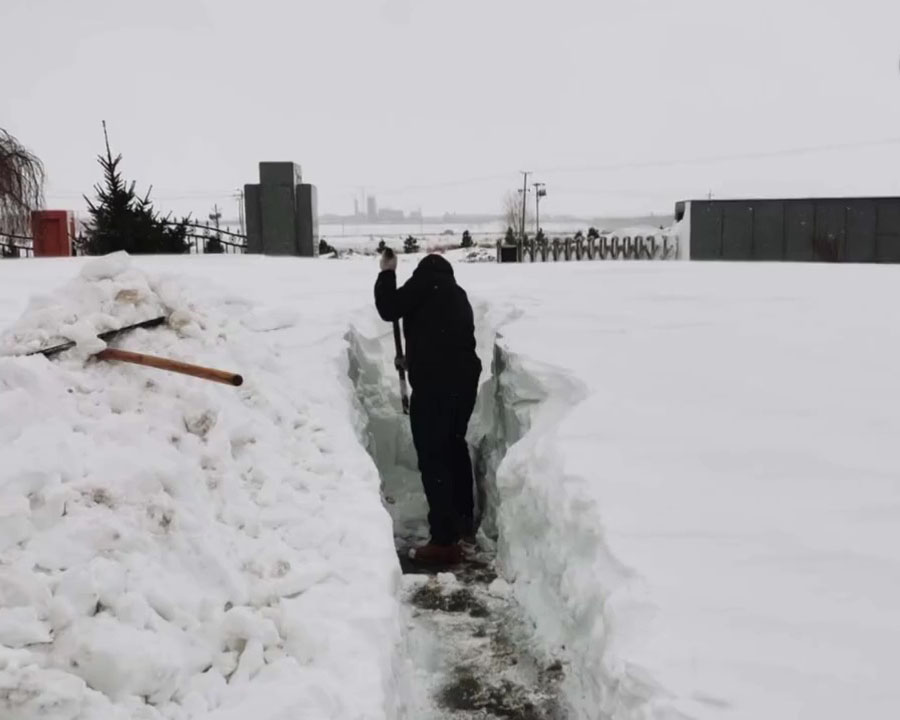 呼倫貝爾出現大範圍降雪天氣,積雪有半人高。(網圖)