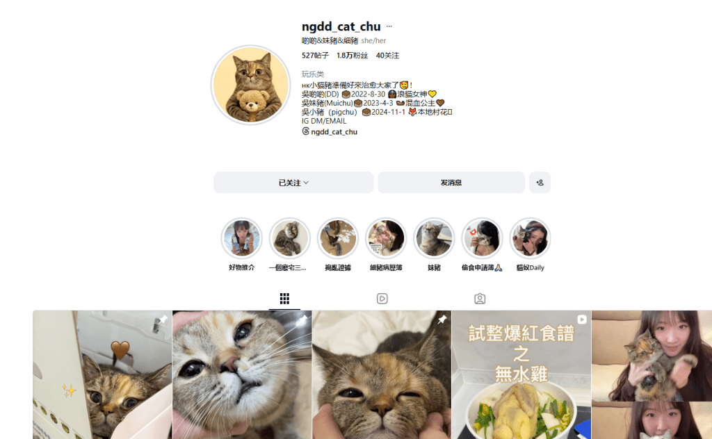 Judy（化名）本職工作則是一名老師，亦是一位寵物KOL。