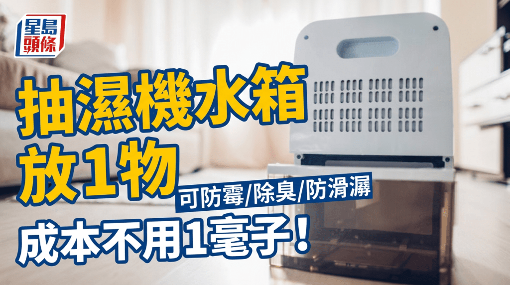 抽濕機水箱放1物 可防霉/除臭/防滑潺 成本不用1毫子！
