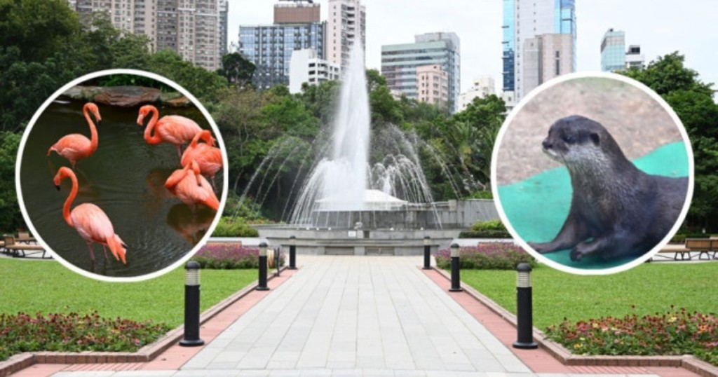 香港動植物公園於1871年落成開放，陪伴不少香港人成長。