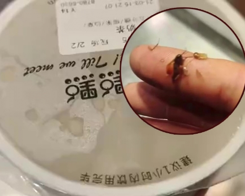福州男子奶茶喝出長1cm昆蟲，當場狂嘔。