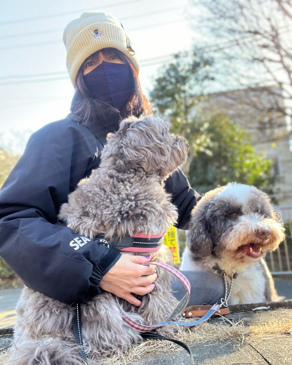 木村嫂包到實去放狗。