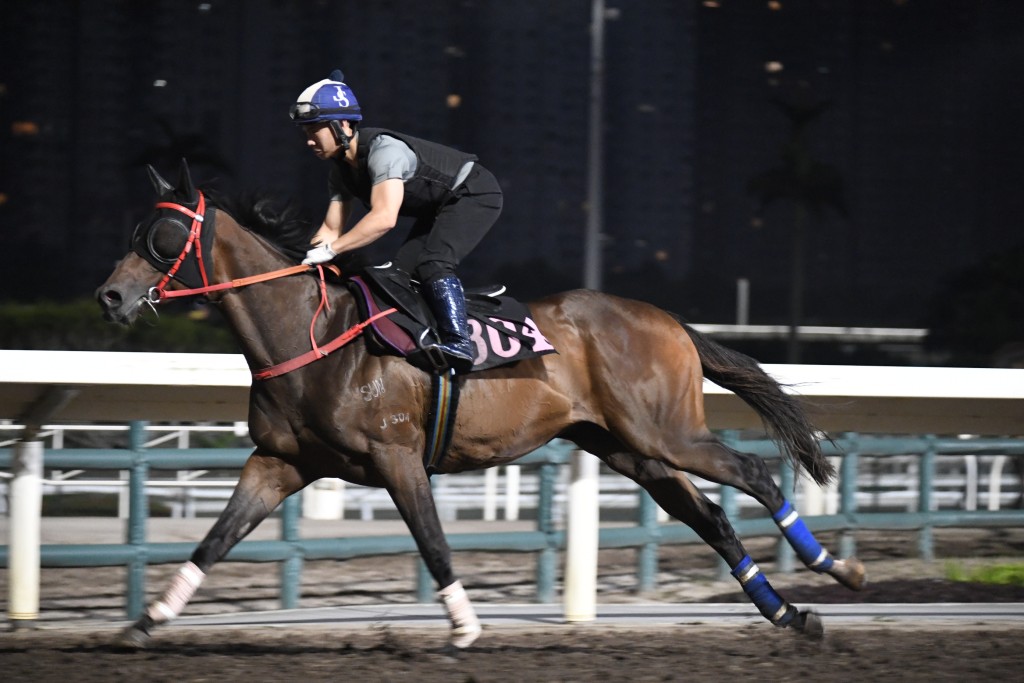 「獵寶勤」三位馬主都是蔡廄忠實擁躉，蔡約翰亦相當重視此駒。