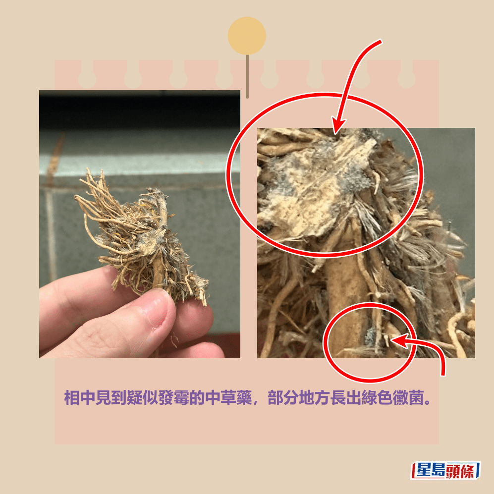 相中見到疑似發霉的中草藥,部分地方長出綠色黴菌。 相中見到疑似發霉的中草藥,部分地方長出綠色黴菌。