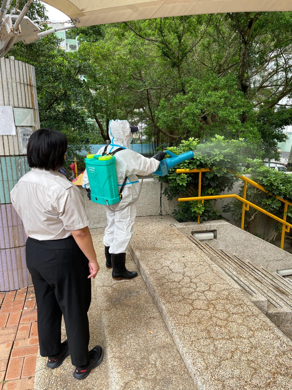 房屋署今日(31日)公布已採取多管齊下的措施於轄下公共租住屋邨加強防控蚊患。政府新聞處圖片 房屋署今日(31日)公布已採取多管齊下的措施於轄下公共租住屋邨加強防控蚊患。政府新聞處圖片