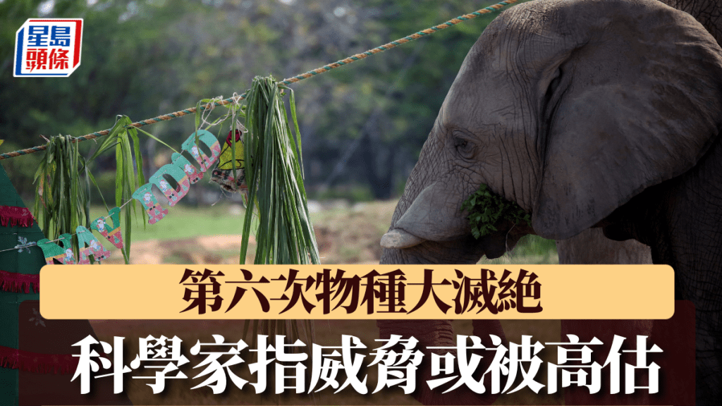 新研究對第六次物種大滅絶提出反駁。路透社