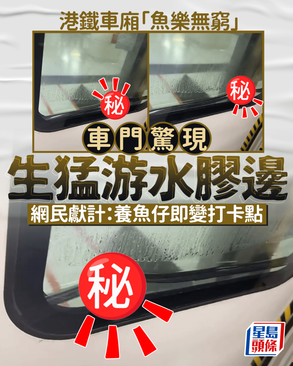 港鐵車廂「魚樂無窮」 車門驚現生猛游水膠邊 網民獻計:養魚仔即變打卡點|Juicy叮 港鐵車廂「魚樂無窮」 車門驚現生猛游水膠邊 網民獻計:養魚仔即變打卡點|Juicy叮