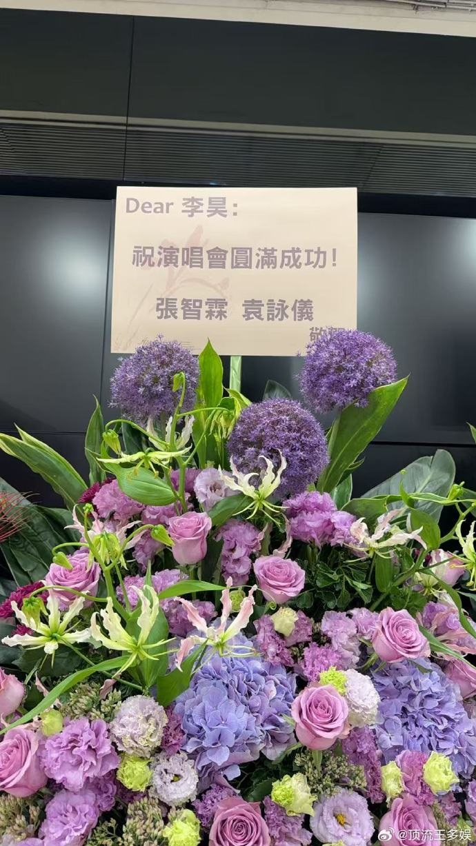 袁詠儀、張智霖