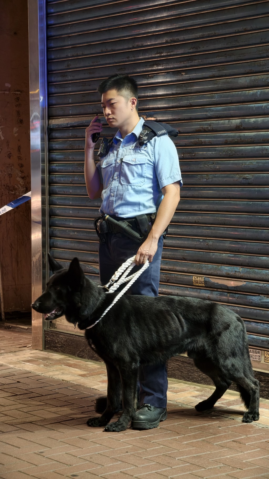 警犬到場協助搜索。黃文威攝 警犬到場協助搜索。黃文威攝