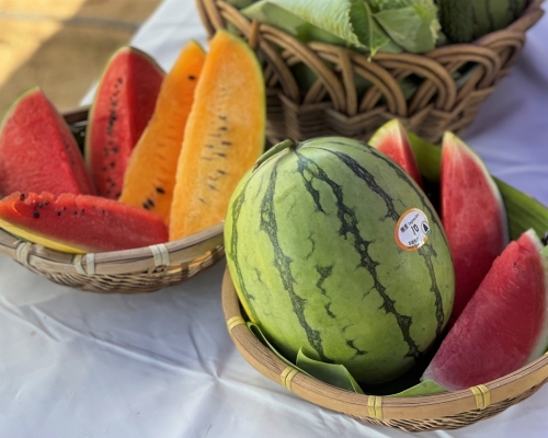 漁農自然護理署將舉行一年一度的本地有機西瓜節。漁護署提供