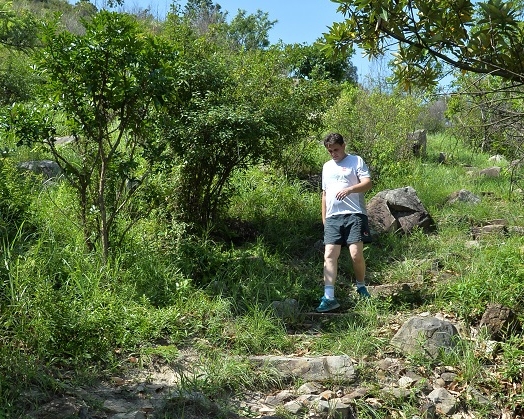 漁護署擬於明年底前分階段在全港郊野公園,增設共約20台飲用水機。資料圖片