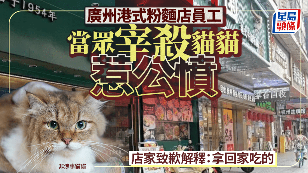 广州港式粉面店员工楼面当众㓥猫惹公愤 店家致歉：打杂大叔拿回家吃