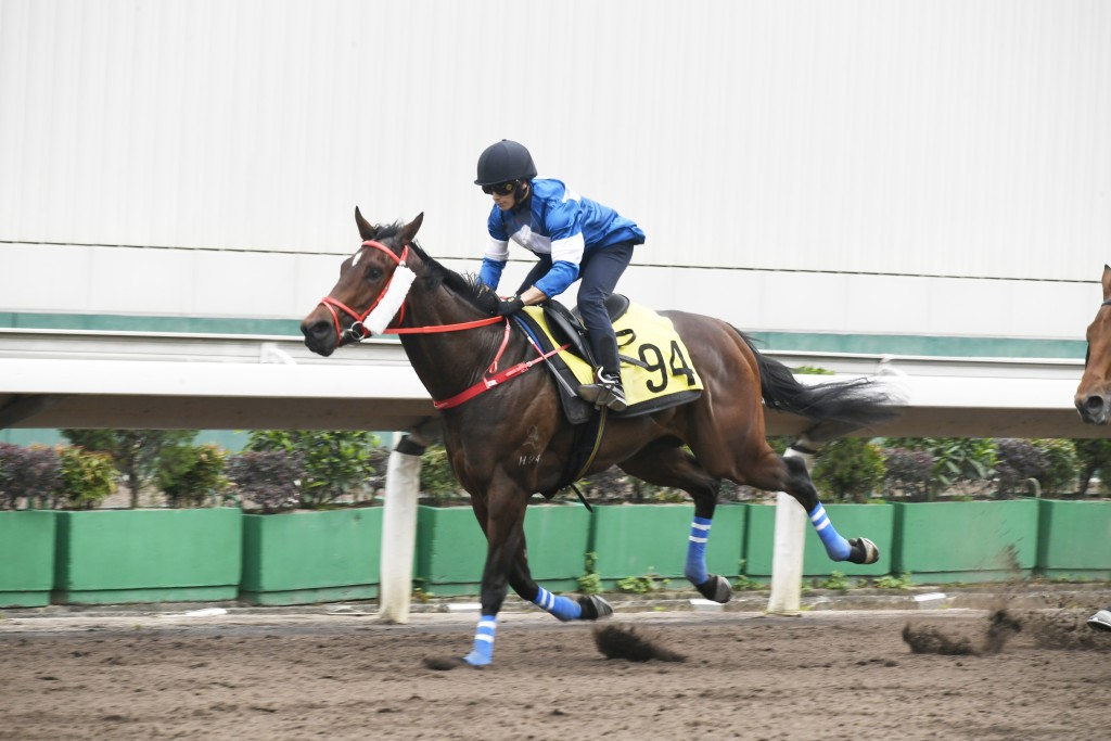 「緣途有您」今日（七月十日）出戰沙丘園賽事，馬匹表現出應有潛質，在薛恩胯下跑入一席亞軍，相信很快就可以補中。